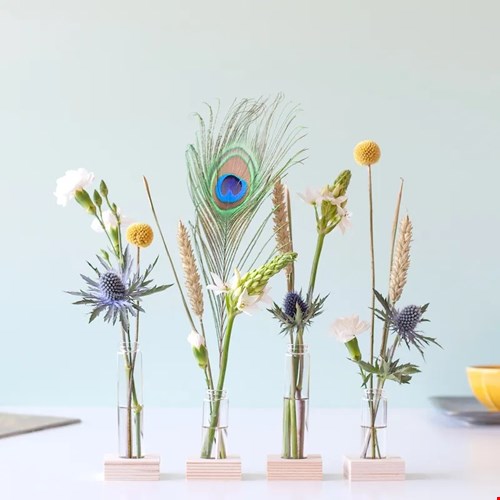 Bloomparty Bloomparty